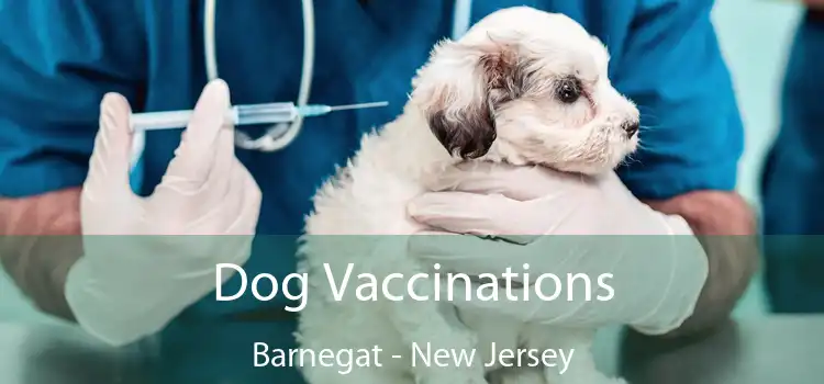 Dog Vaccinations Barnegat - New Jersey