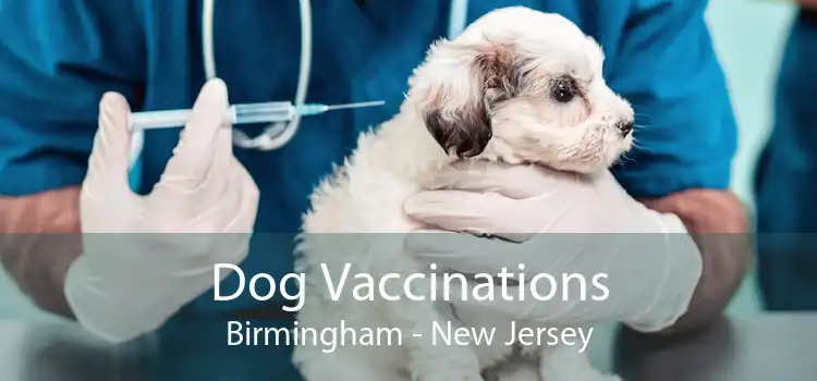 Dog Vaccinations Birmingham - New Jersey