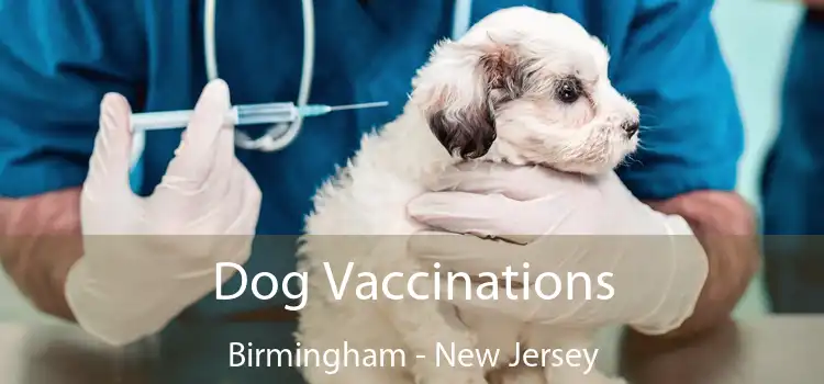Dog Vaccinations Birmingham - New Jersey