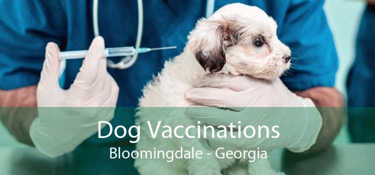 Dog Vaccinations Bloomingdale - Georgia