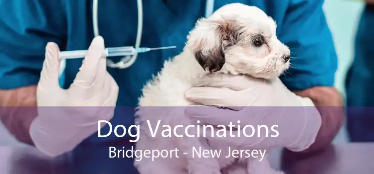 Dog Vaccinations Bridgeport - New Jersey