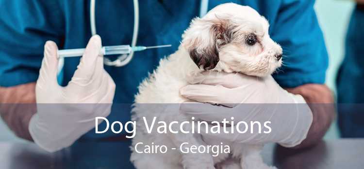 Dog Vaccinations Cairo - Georgia