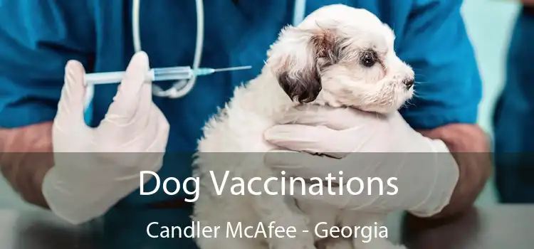 Dog Vaccinations Candler McAfee - Georgia