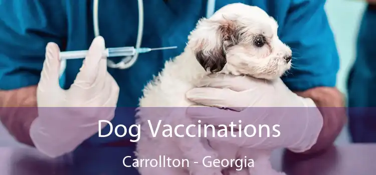 Dog Vaccinations Carrollton - Georgia