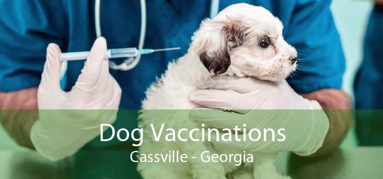 Dog Vaccinations Cassville - Georgia