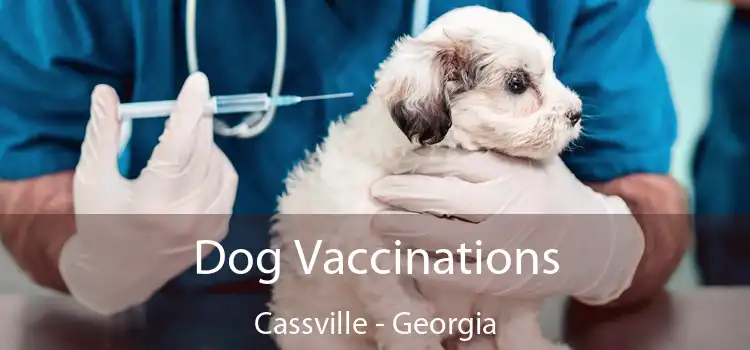 Dog Vaccinations Cassville - Georgia