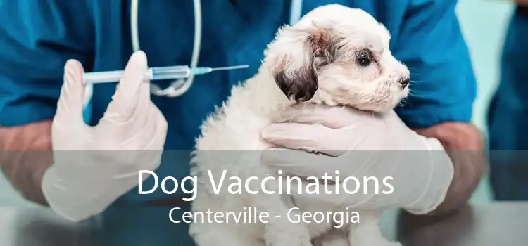 Dog Vaccinations Centerville - Georgia