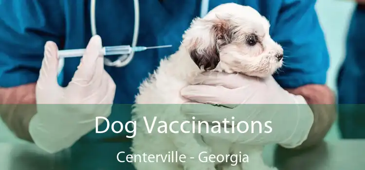 Dog Vaccinations Centerville - Georgia