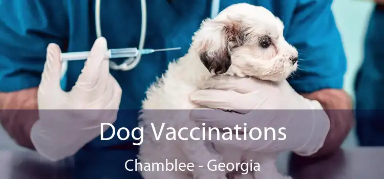 Dog Vaccinations Chamblee - Georgia