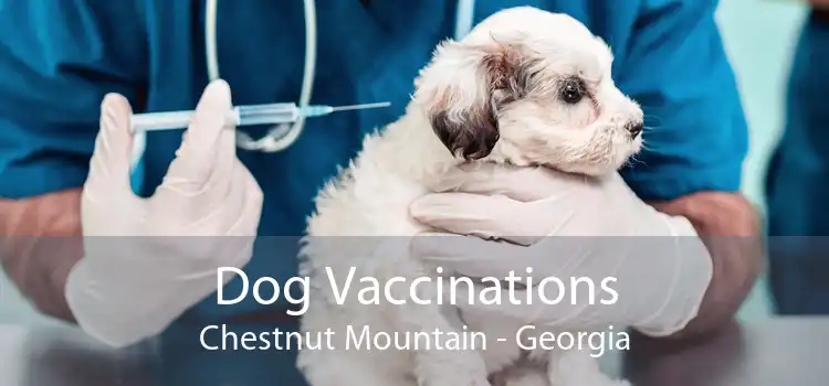 Dog Vaccinations Chestnut Mountain - Georgia
