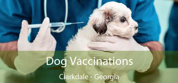 Dog Vaccinations Clarkdale - Georgia