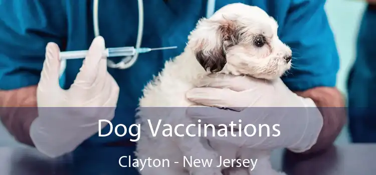 Dog Vaccinations Clayton - New Jersey