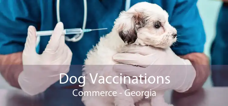 Dog Vaccinations Commerce - Georgia