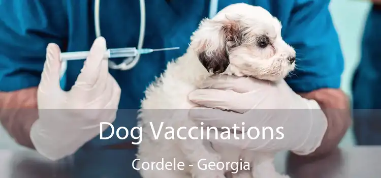 Dog Vaccinations Cordele - Georgia