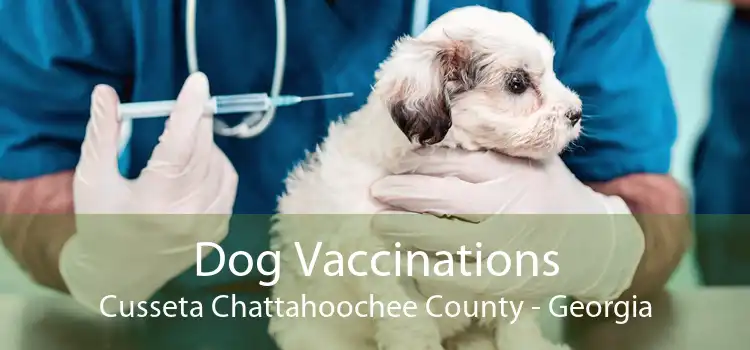 Dog Vaccinations Cusseta Chattahoochee County - Georgia