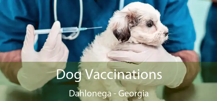 Dog Vaccinations Dahlonega - Georgia