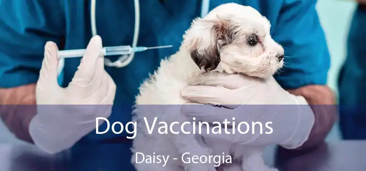 Dog Vaccinations Daisy - Georgia