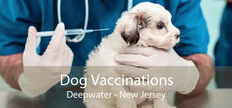 Dog Vaccinations Deepwater - New Jersey