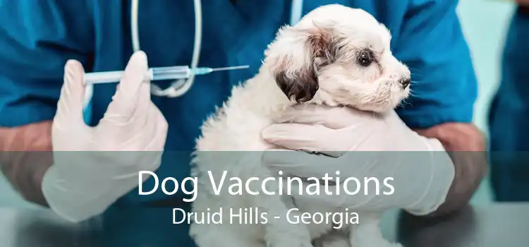 Dog Vaccinations Druid Hills - Georgia