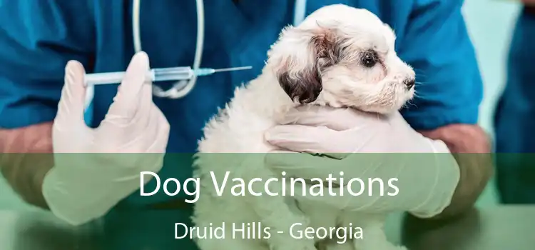 Dog Vaccinations Druid Hills - Georgia