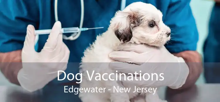 Dog Vaccinations Edgewater - New Jersey