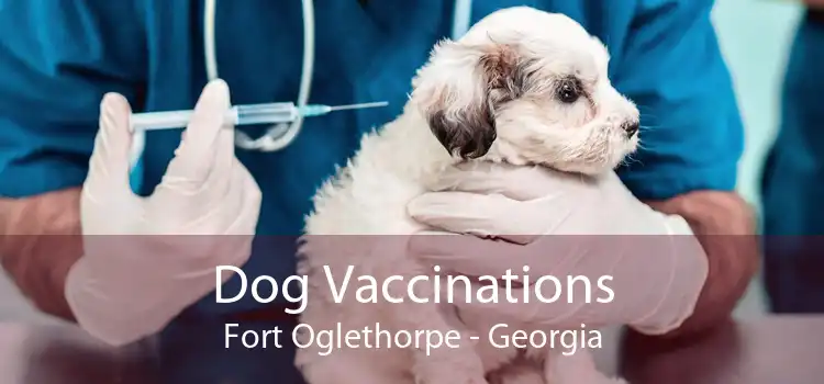 Dog Vaccinations Fort Oglethorpe - Georgia