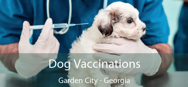 Dog Vaccinations Garden City - Georgia