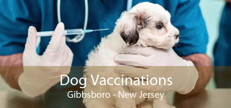 Dog Vaccinations Gibbsboro - New Jersey