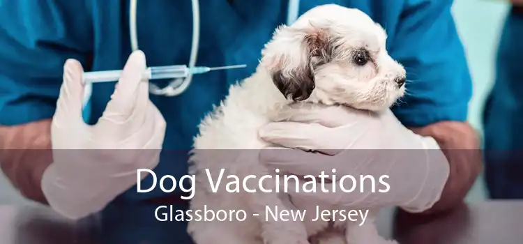 Dog Vaccinations Glassboro - New Jersey