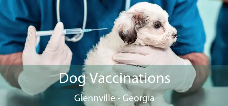 Dog Vaccinations Glennville - Georgia