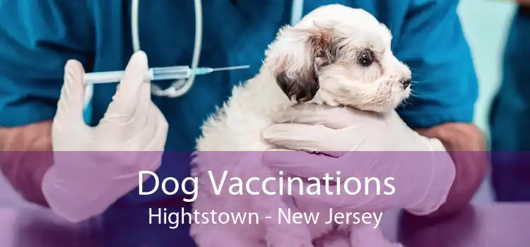 Dog Vaccinations Hightstown - New Jersey