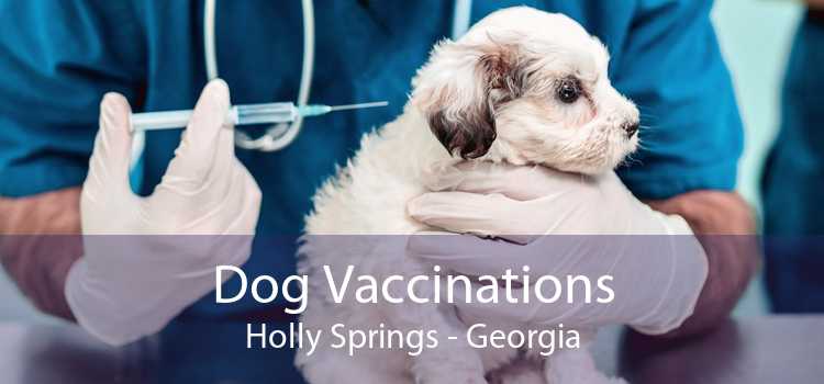 Dog Vaccinations Holly Springs - Georgia