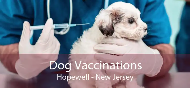 Dog Vaccinations Hopewell - New Jersey