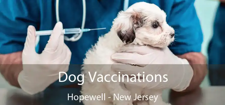 Dog Vaccinations Hopewell - New Jersey