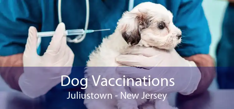 Dog Vaccinations Juliustown - New Jersey