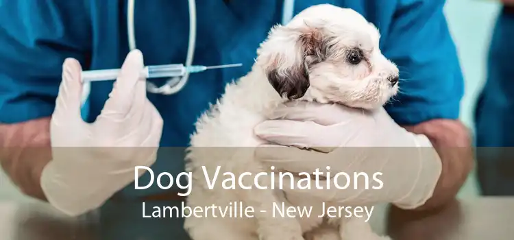 Dog Vaccinations Lambertville - New Jersey