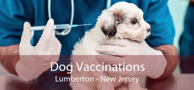 Dog Vaccinations Lumberton - New Jersey