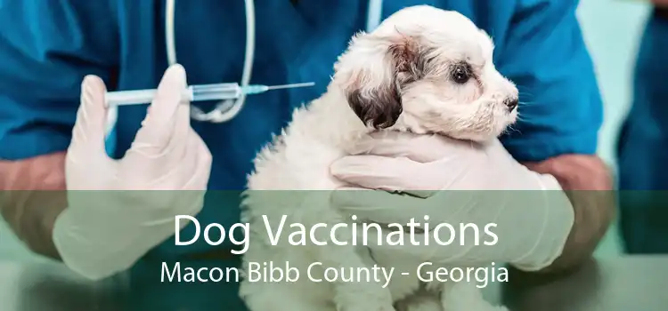 Dog Vaccinations Macon Bibb County - Georgia