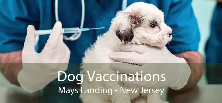 Dog Vaccinations Mays Landing - New Jersey