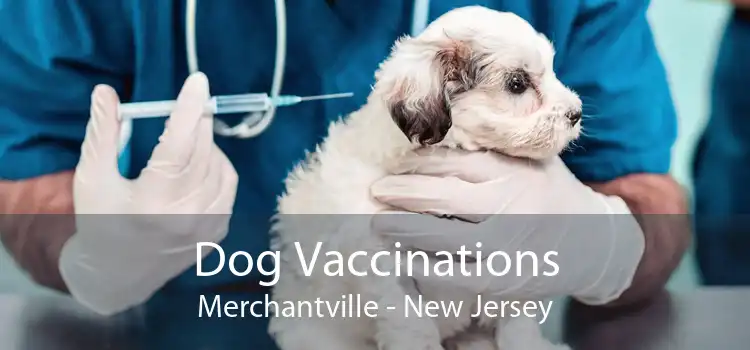 Dog Vaccinations Merchantville - New Jersey