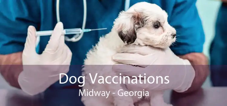 Dog Vaccinations Midway - Georgia