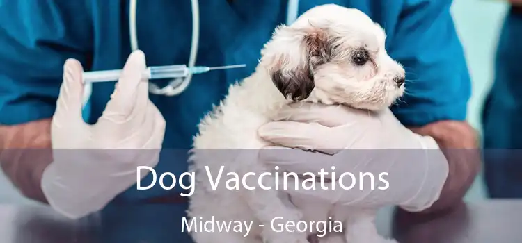 Dog Vaccinations Midway - Georgia