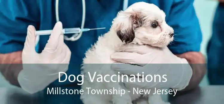 Dog Vaccinations Millstone Township - New Jersey