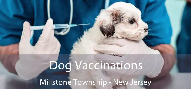 Dog Vaccinations Millstone Township - New Jersey