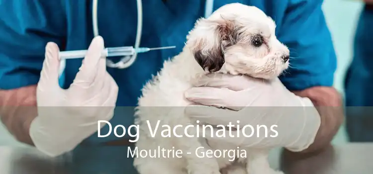 Dog Vaccinations Moultrie - Georgia