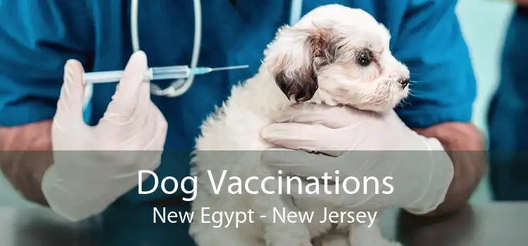 Dog Vaccinations New Egypt - New Jersey