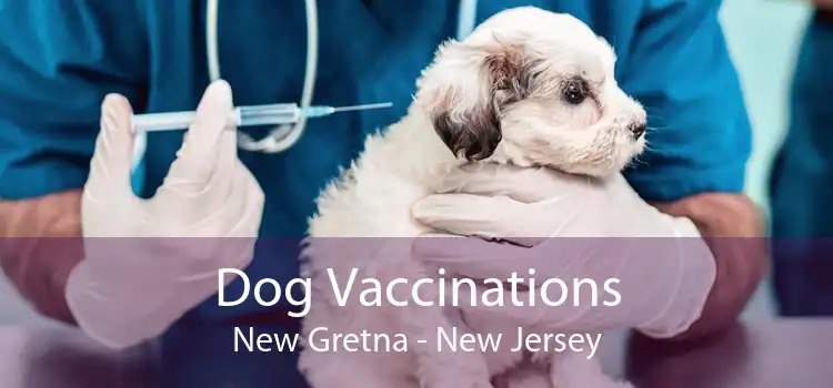 Dog Vaccinations New Gretna - New Jersey