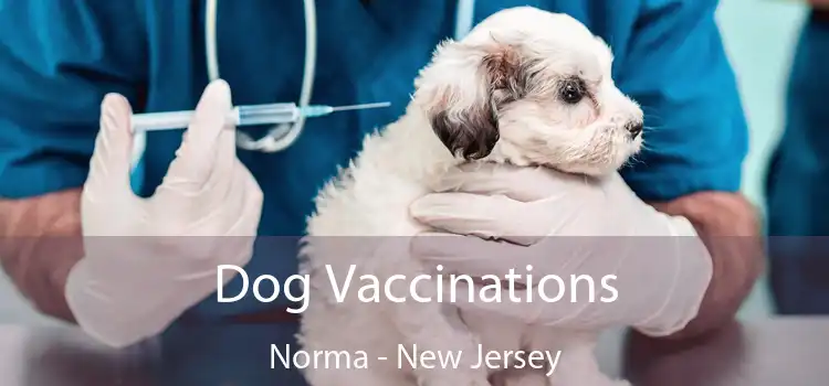 Dog Vaccinations Norma - New Jersey