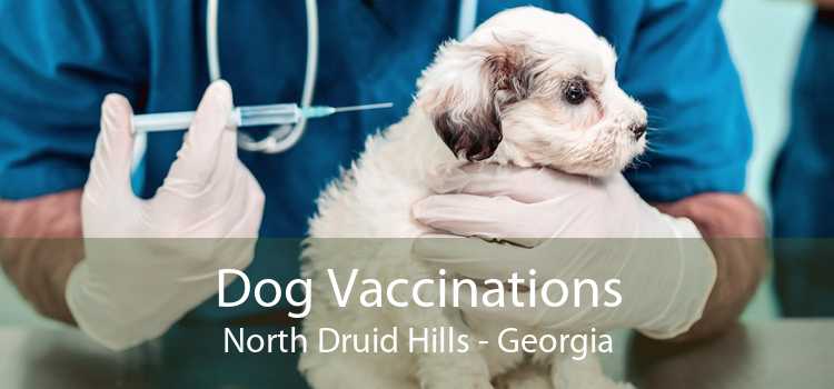 Dog Vaccinations North Druid Hills - Georgia
