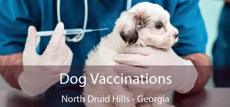 Dog Vaccinations North Druid Hills - Georgia